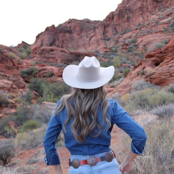 Ariat Double S Wool 3X Silverbelly Cowboy Hat